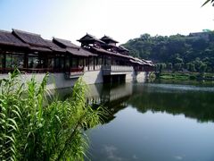 -重庆彩云湖湿地公园