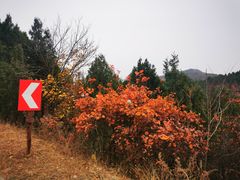 -北京西山国家森林公园