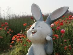 -巢湖姥山岛