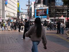 -涩谷全向十字路口