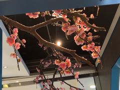 -老板恋上鱼(振华商厦店)