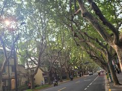 -一尺花园(安和花园店)