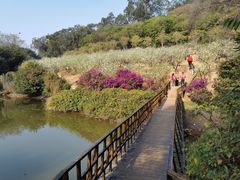 -南国桃园旅游度假区