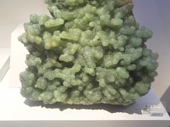 -重庆自然博物馆(新馆)