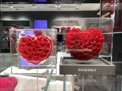 -ROSEONLY诺誓(国际广场购物中心店)