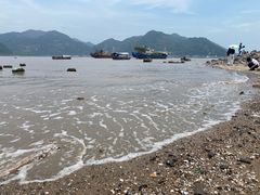 -北岐滩涂