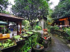 -青城甲(青城山店)