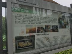 -白洋淀景区