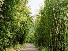 -水底山庄园温泉