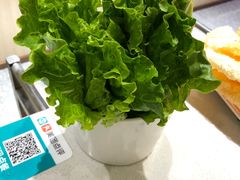 -古乐牛香·鲜牛肉牛杂火锅(新区店)