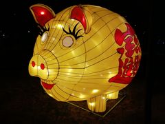 -锦江乐园舞狸花花游园会(夜场专享)