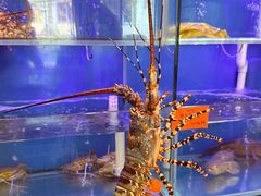 -好彩海鲜火锅饭店(银河百老汇店)