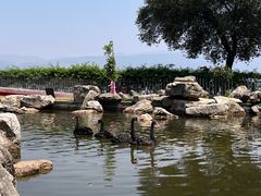 -西昌邛海宾馆