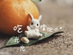 -南宁良凤江国家森林公园