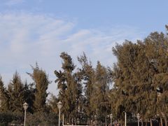 -宝安西湾红树林湿地公园