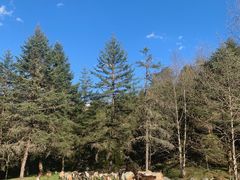 -硗碛藏寨·神木垒景区