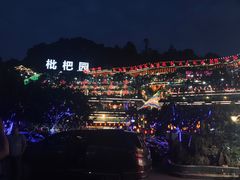 -枇杷园食为鲜火锅(南山店)