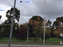 -墨尔本皇家植物园