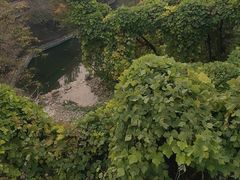 -狼牙山风景区