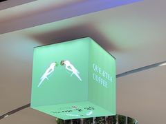 -鹊茶咖啡•新中式(深圳首店)