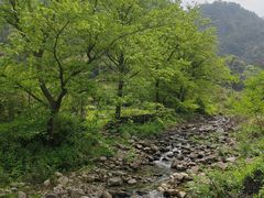 -雁荡山风景名胜区