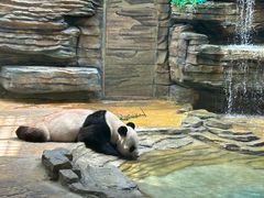 -西霞口神雕山野生动物世界