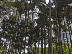 -北海市海滨公园