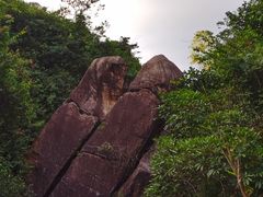 -广州白江湖森林公园