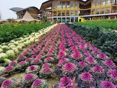 -中国天府农业博览园