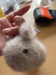 -IMON·HANSA潮玩玩偶毛绒玩具(通州万象汇店)