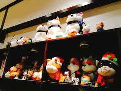 -逗柴咖啡屋·狗咖猫咖宠物桌游