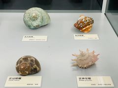 -天津古林古海岸遗迹博物馆