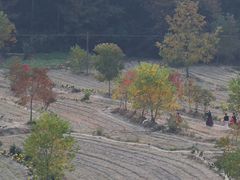 -塔川景区