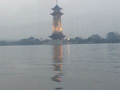 -溱湖国家湿地公园