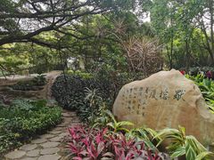 -晓港公园