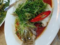 清蒸加州鲈-联邦酒楼