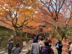 -常寂光寺