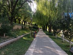 -元大都城垣遗址公园