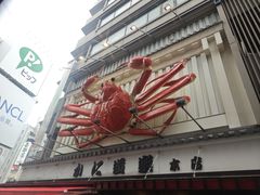 -蟹道乐(道顿堀本店)
