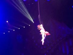 -珠海横琴长隆《卡卡虎奇遇记》