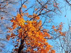 -天津盘山风景名胜区