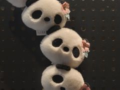 -成都金河宾馆(宽窄巷子店)