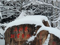 -横道河子东北虎林园
