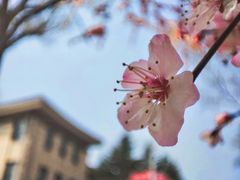 -吉林大学(南岭校区)