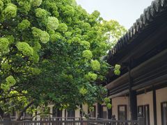 -常熟方塔园
