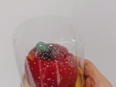 -GANSO元祖食品(沪青平店)