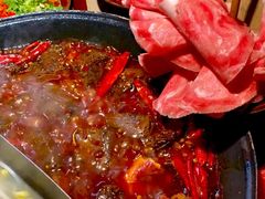 -阳阳老火锅(小南门店)