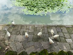 -呈坎景区