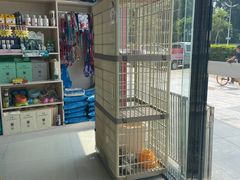 -乐琪宠物医院·犬猫专科·骨外科·急重症