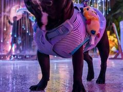 -潭溪山